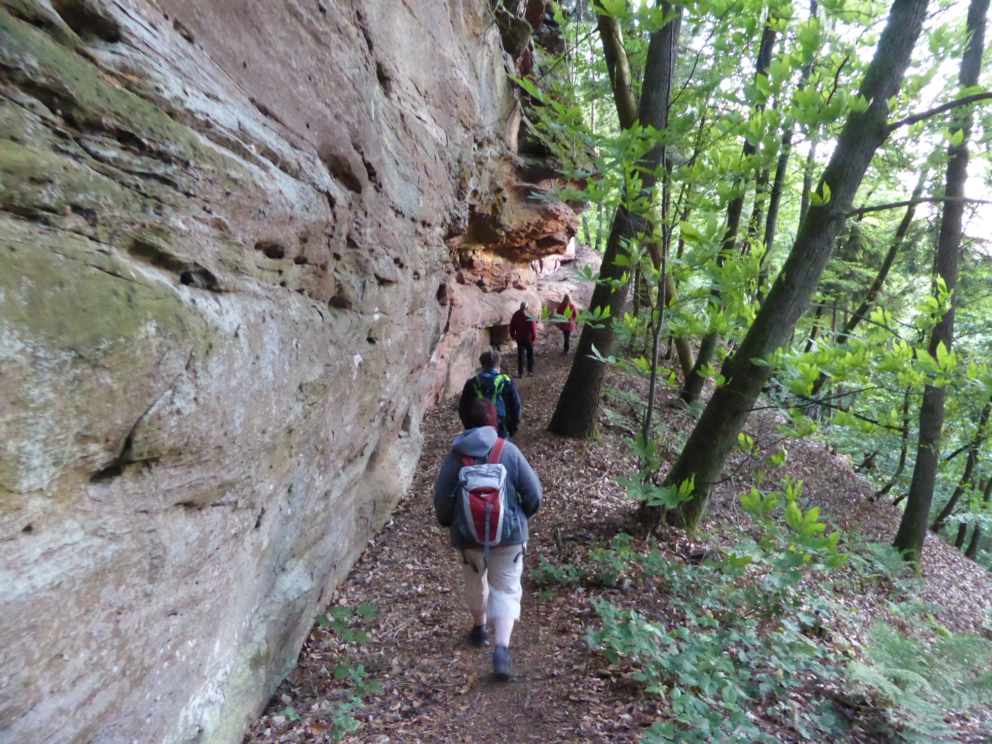 Drachenfels